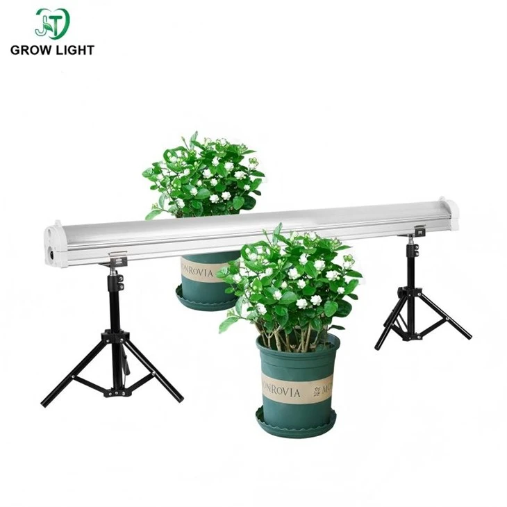 under canopy strip plant lighting
