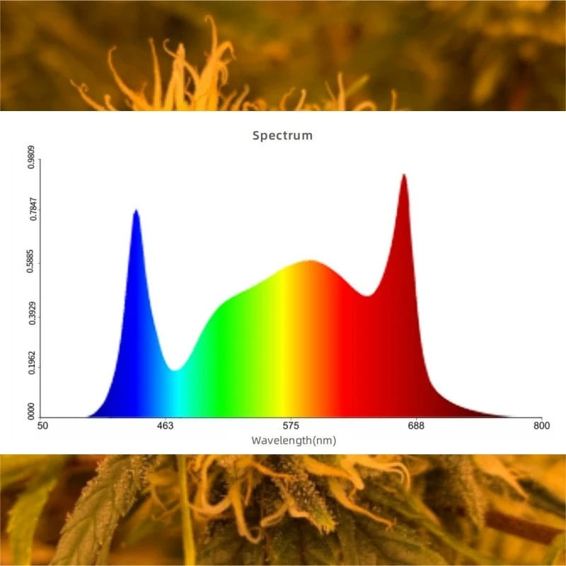 Folding LED Grow Lights