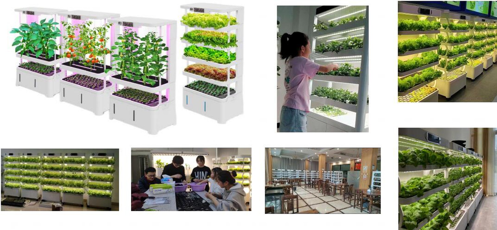 Hydroponic Growing System Hydroponic Growing System