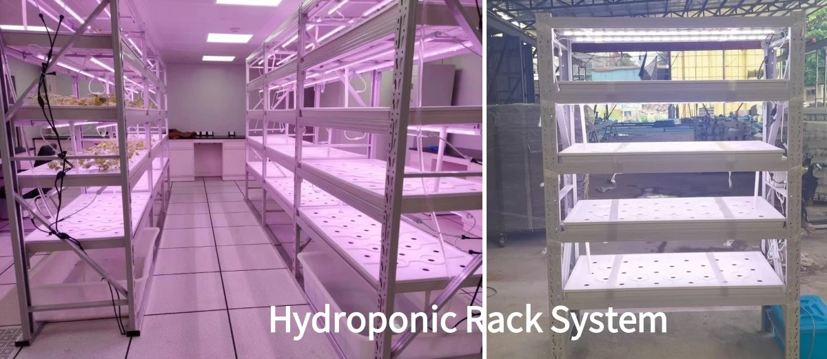indoor plant growing rack indoor plant growing rack
