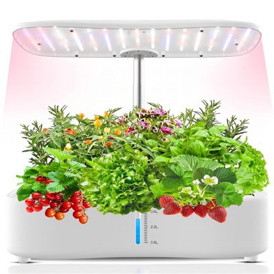 Sistem sayur hidroponik dalaman mini